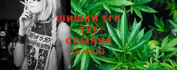 трава Арсеньев
