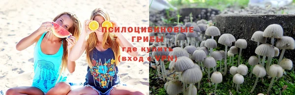 стаф Армянск